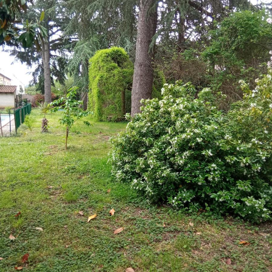 Chez Ben Avec Tout Le Confort Clim Wifi Netflix Gratuit Castres  Buitenkant foto
